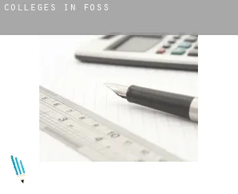 Colleges in  Foss