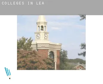 Colleges in  Lea