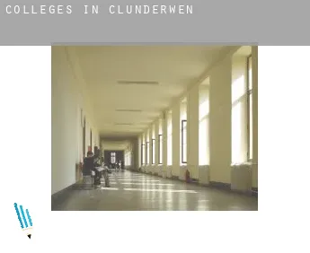 Colleges in  Clunderwen