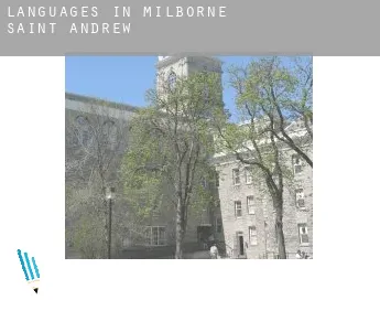 Languages in  Milborne Saint Andrew