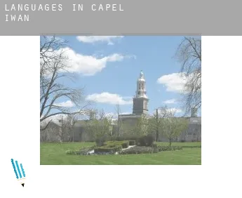 Languages in  Capel Iwan