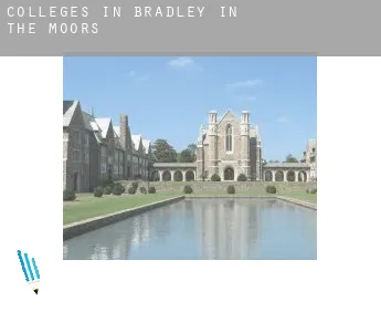 Colleges in  Bradley in the Moors
