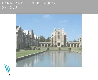 Languages in  Bigbury on Sea