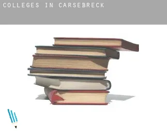 Colleges in  Carsebreck