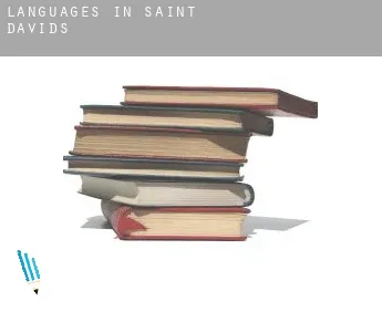 Languages in  St David's