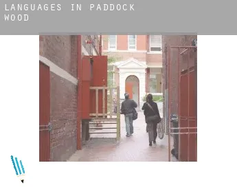Languages in  Paddock Wood