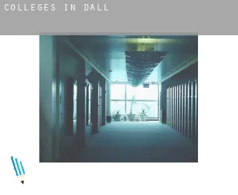 Colleges in  Dall