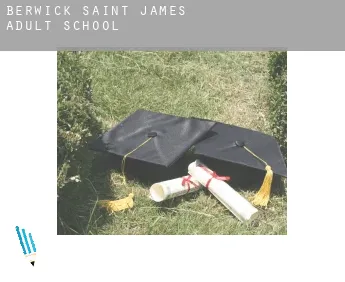 Berwick Saint James  adult school