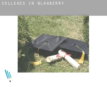 Colleges in  Blagberry