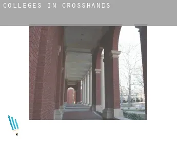 Colleges in  Crosshands