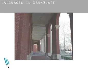 Languages in  Drumblade