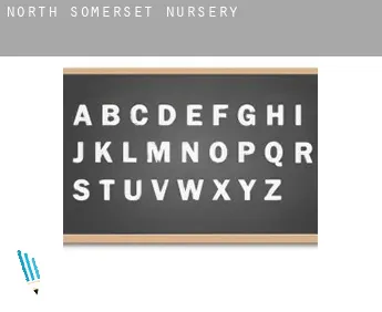 North Somerset  nursery