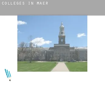 Colleges in  Maer
