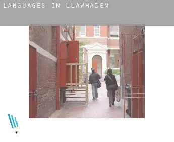 Languages in  Llawhaden