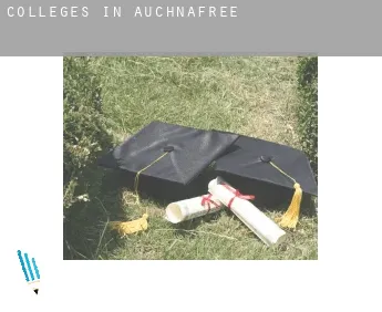 Colleges in  Auchnafree