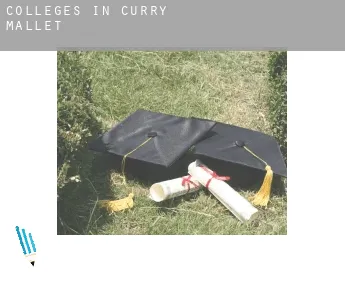 Colleges in  Curry Mallet