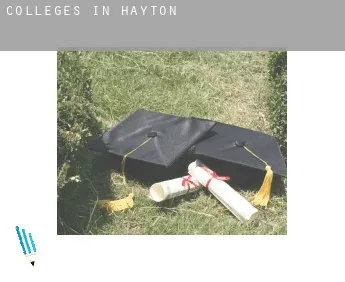 Colleges in  Hayton