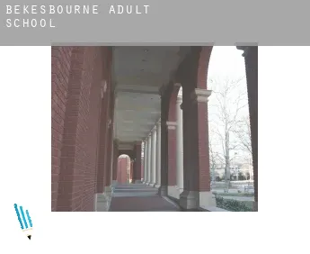 Bekesbourne  adult school