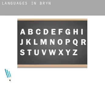 Languages in  Bryn