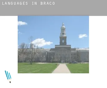Languages in  Braco