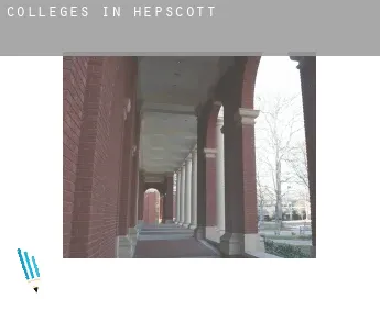 Colleges in  Hepscott