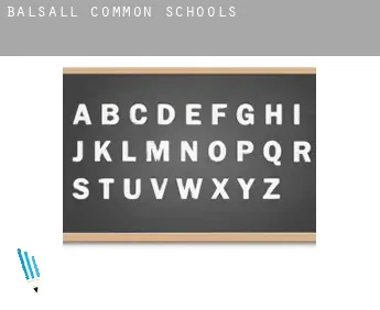 Balsall Common  schools