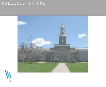 Colleges in  Hoe