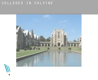 Colleges in  Calvine