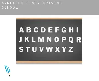 Annfield Plain  driving school